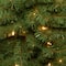10 ft. Pre-Lit Dunhill® Fir Hinged Full Artificial Christmas Tree, Clear Lights